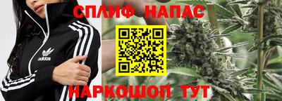 шишки Ивантеевка
