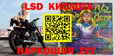 шишки Ивантеевка